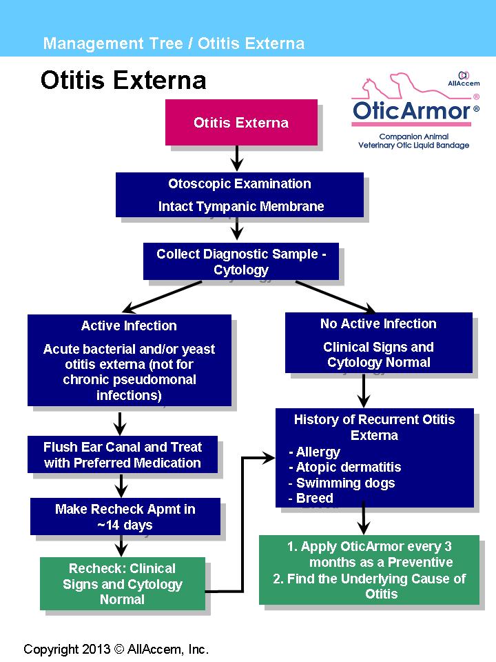 Otitis Externa Dogs Medication Allobricolema